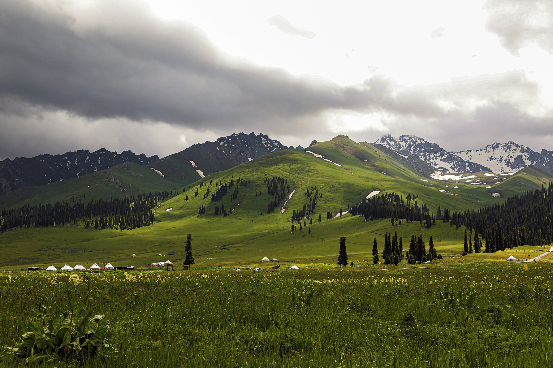 奇遇那拉提#那拉提巩乃斯草原位于中国新疆喀什地区,是一片被誉为"
