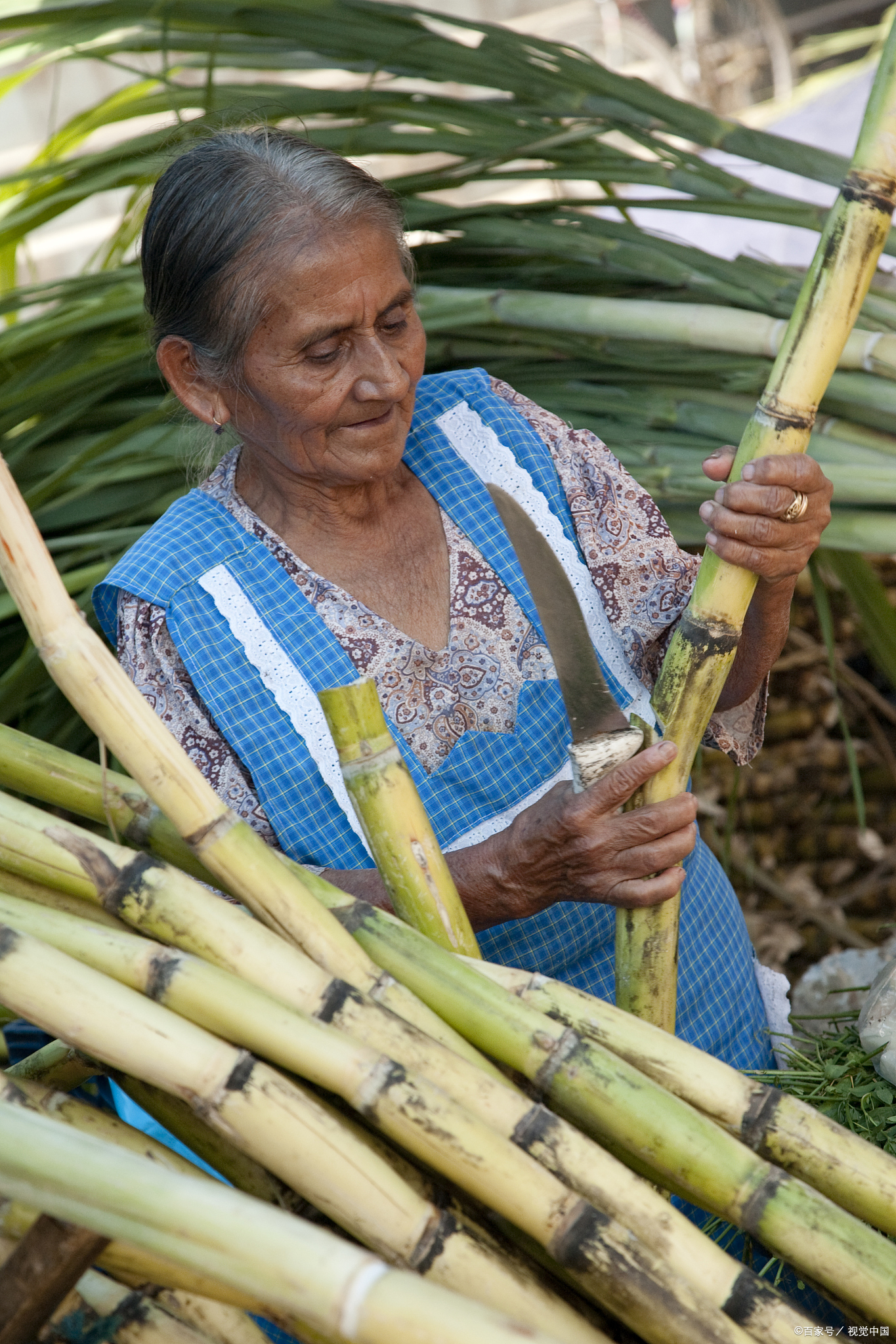 吃甘蔗的十大好处