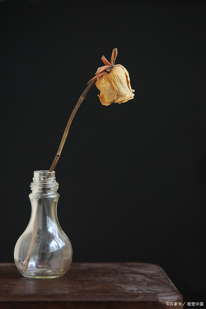 花枯萎了,怎么救活?