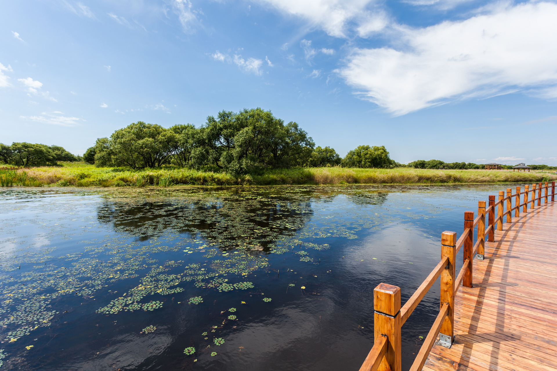 这里有着美丽的山水和独特的文化,让我们的旅程充满了惊喜和感动.
