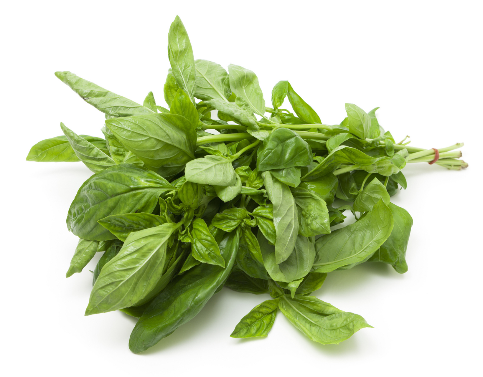 小伙伴们,我要给你们安利一款我最近狂爱的蔬菜——绿苋菜!