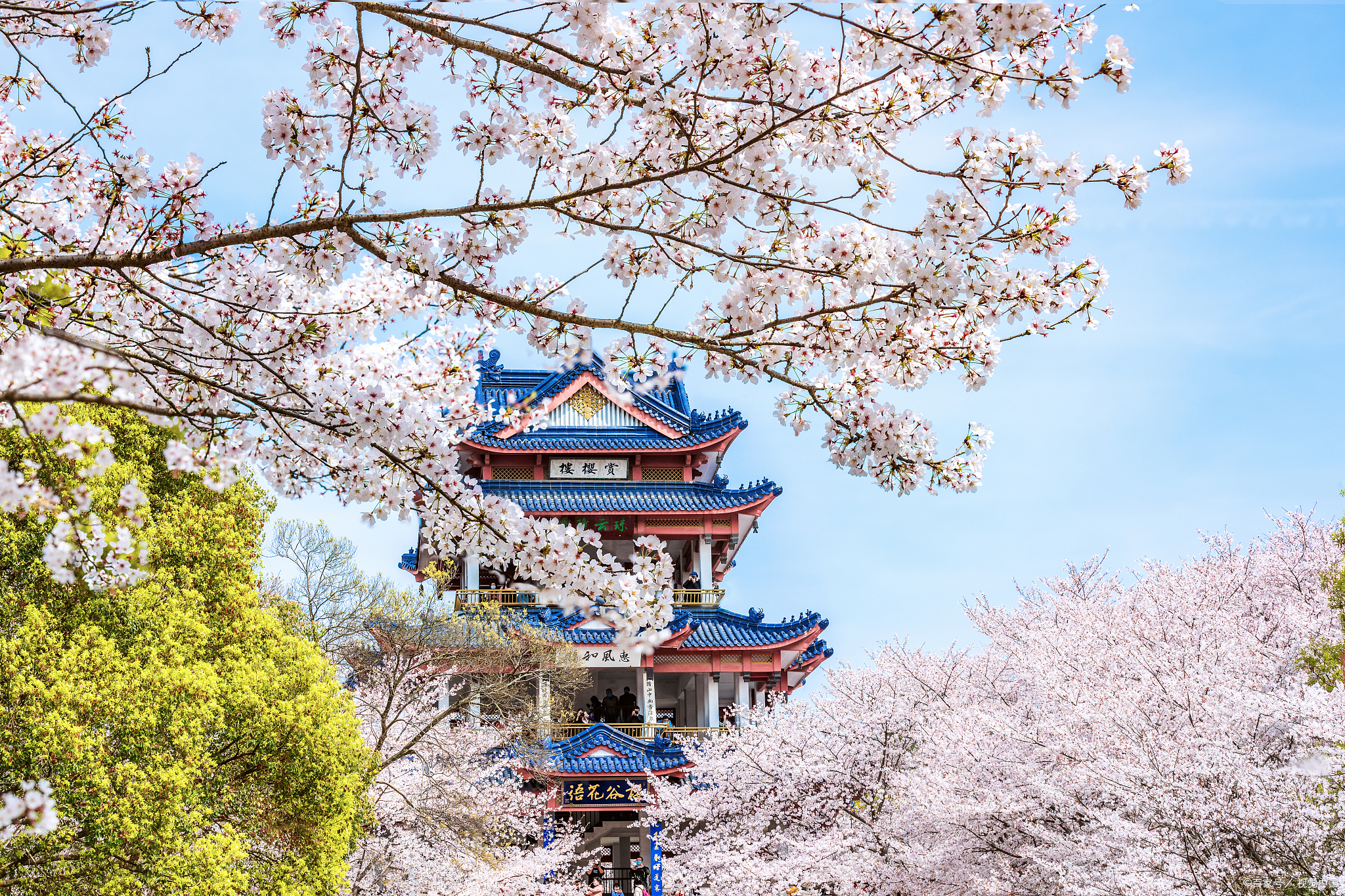 珞珈山原名罗家山,落驾山,位于武汉市武昌区中部,东湖西南岸边,武汉