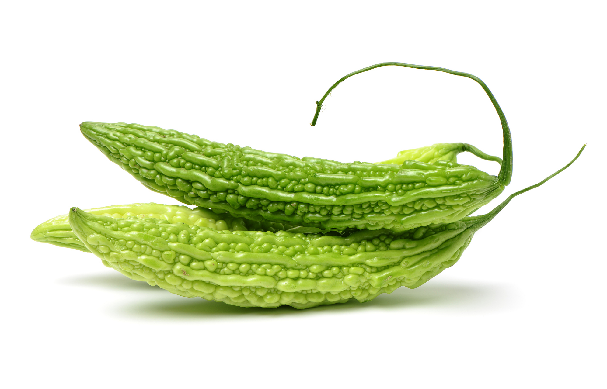 苦瓜是葫芦科苦瓜属的一年生攀援状柔弱草本.