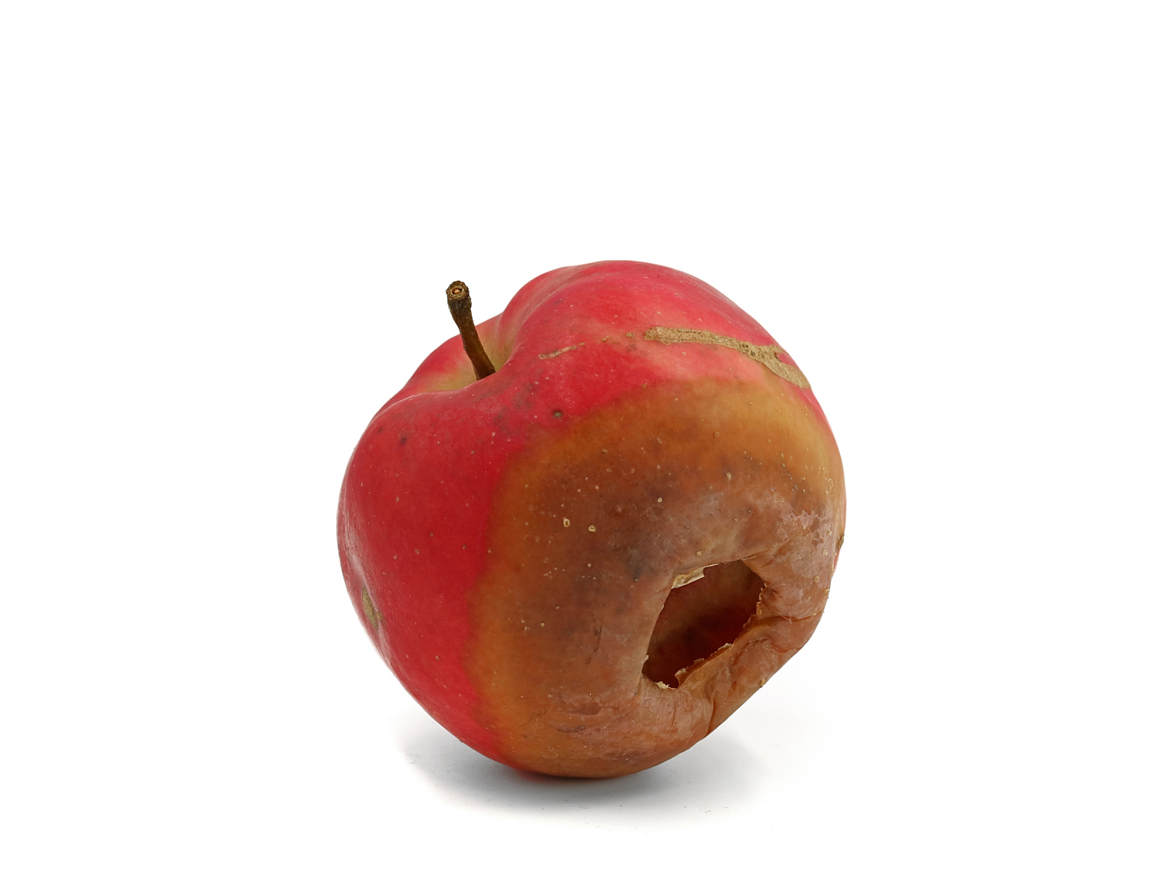 烂苹果直接扔掉,还是切掉坏的部分继续吃?