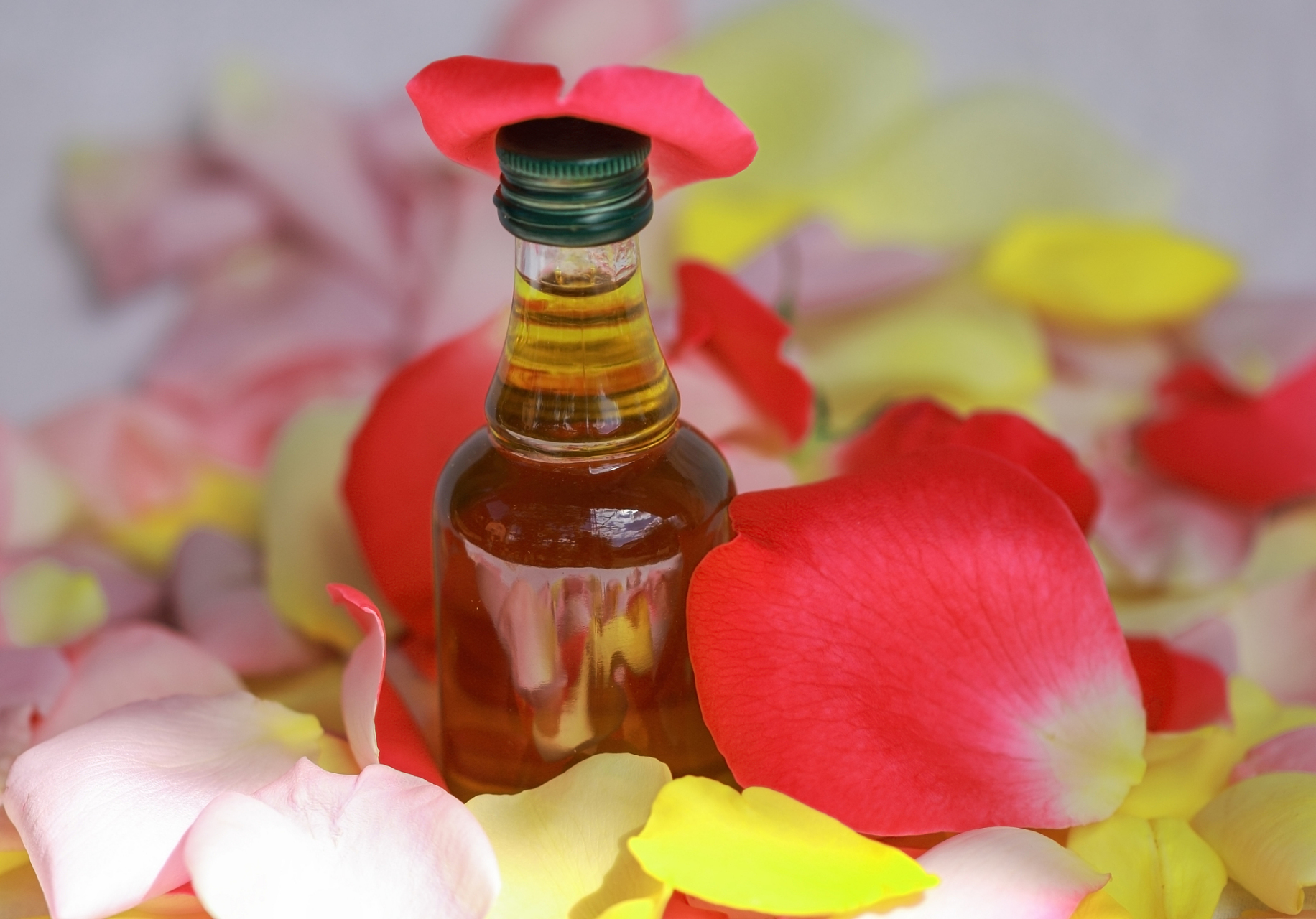 红花籽油,这名字听起来就充满了生机与活力,它是一种营养丰富的食用油