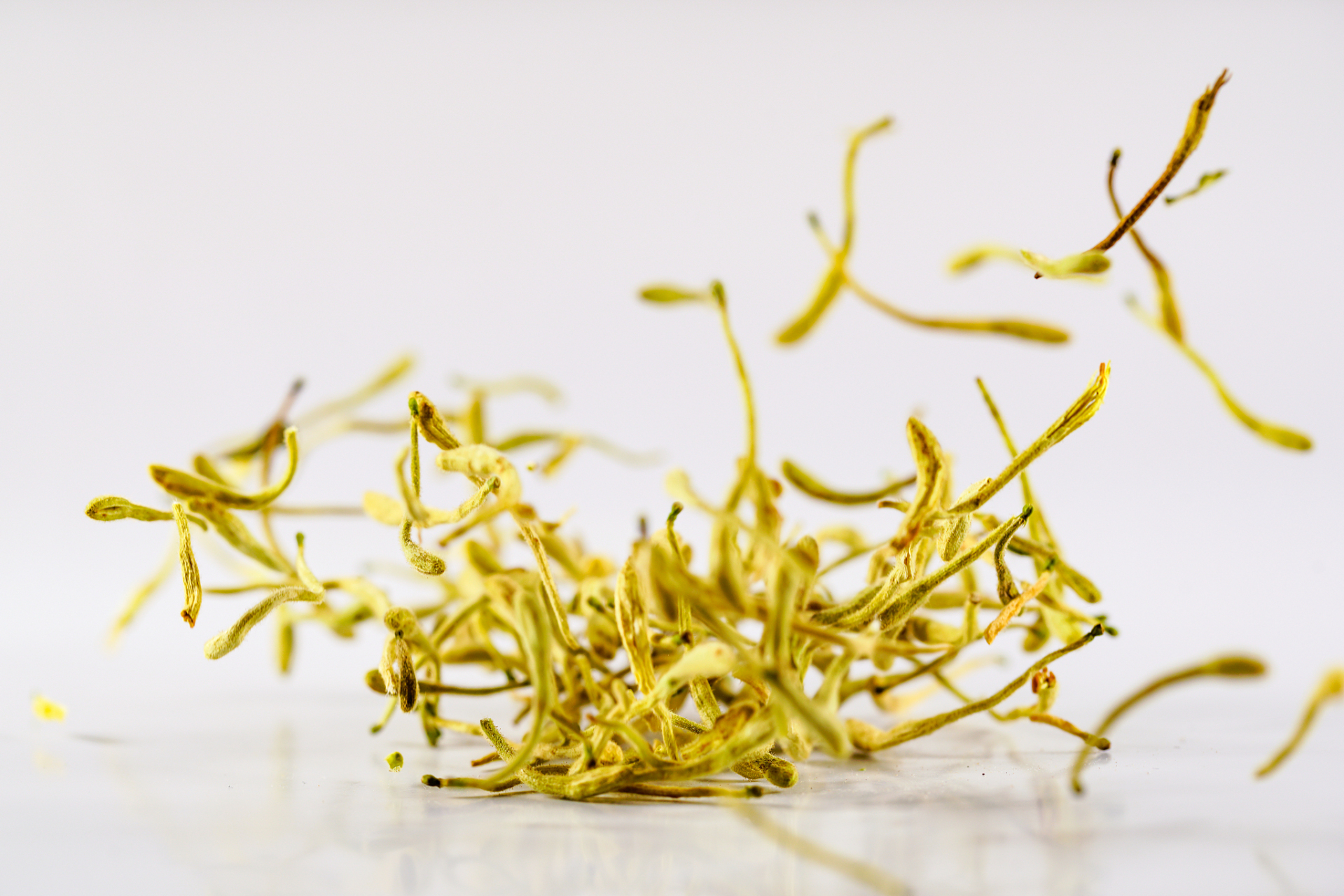 金银花是一种中药材,具有清热解毒,疏散风热的功效,常用于治疗痈肿