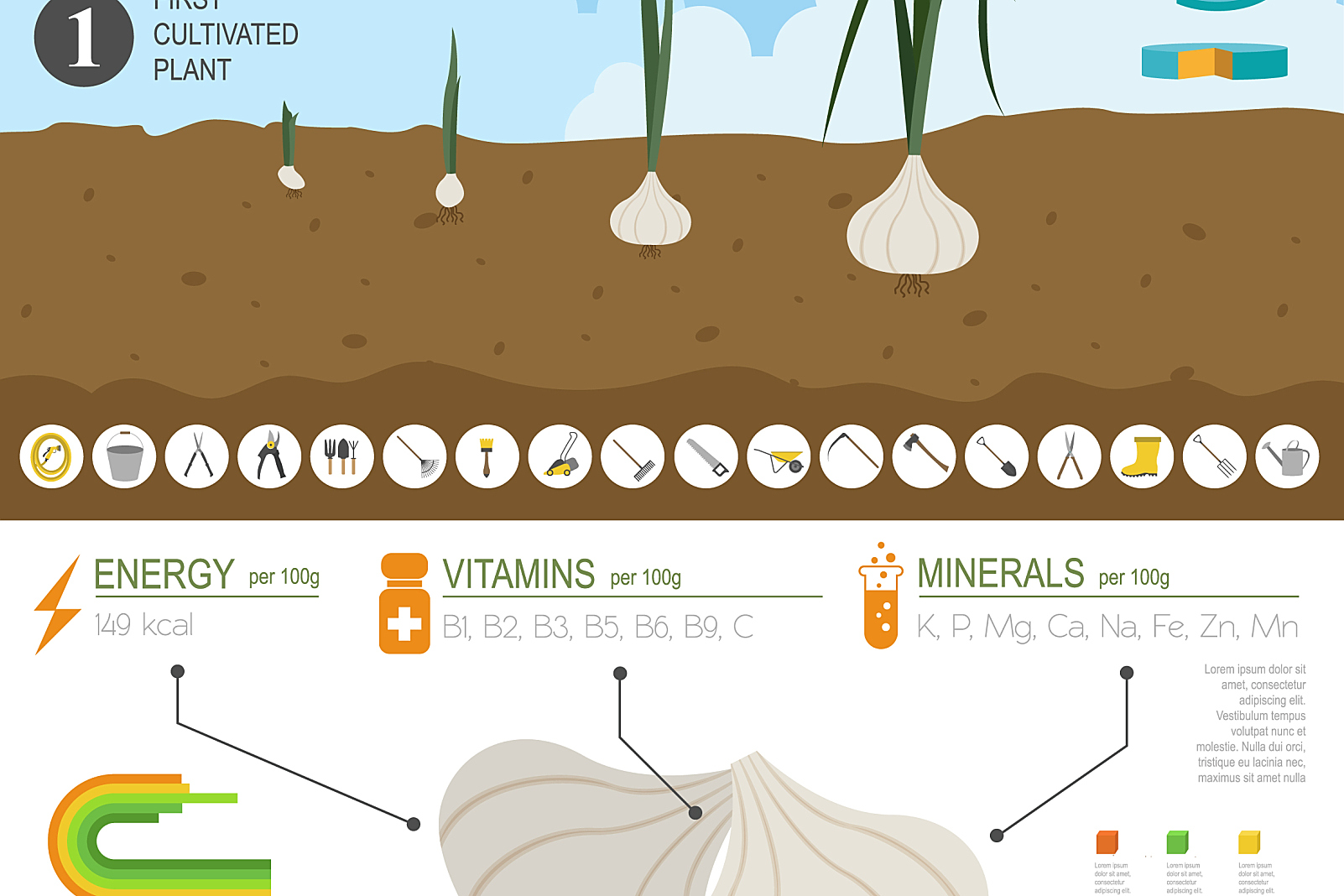 女生微信号恋爱指南：从零开始的社交秘籍详解