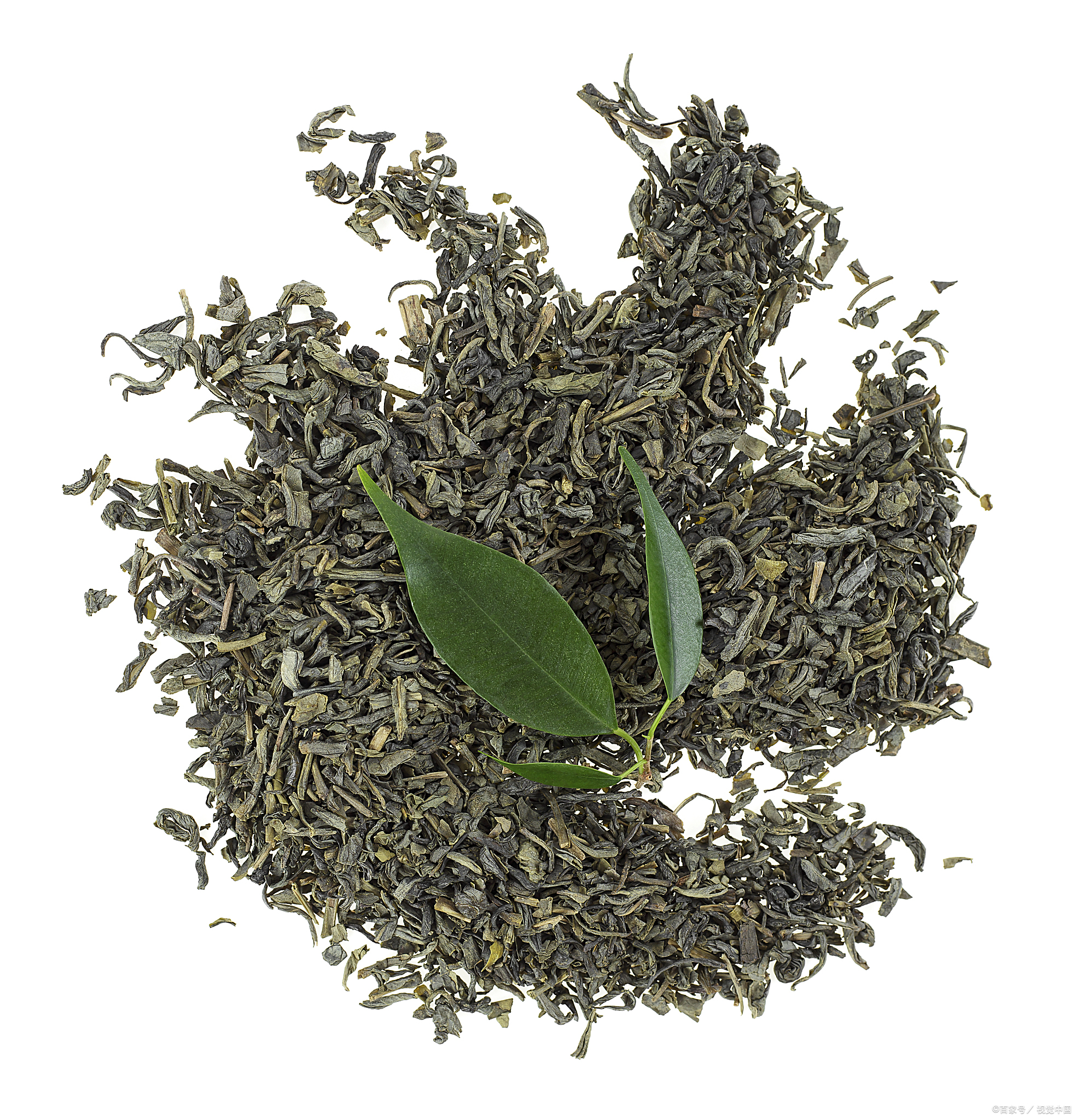 毛茶是什么茶