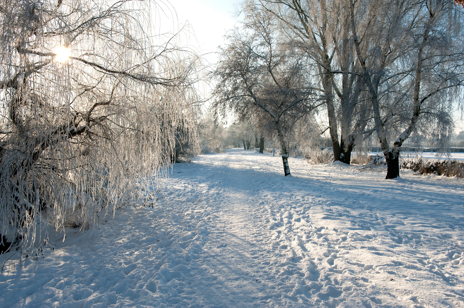 冬天的美景如诗如画,雪花飘落,世界洁白无瑕.