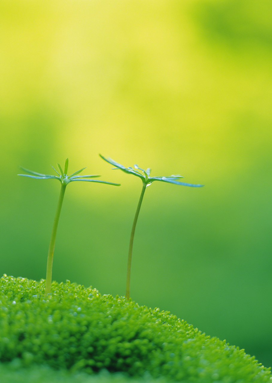 保护眼睛健康用眼#  做人真的需要早睡.