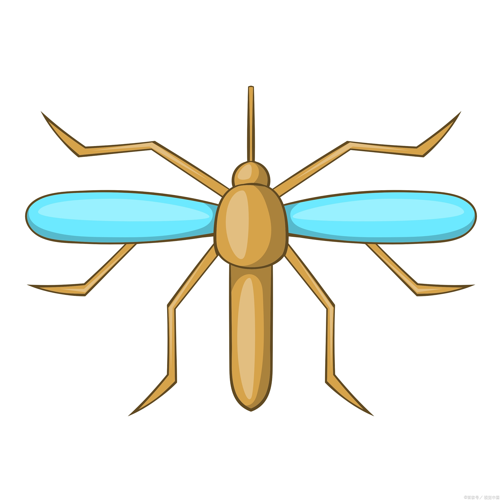 九成人不知晓蚊子天敌是啥用1个笨法子蚊子就跑光了