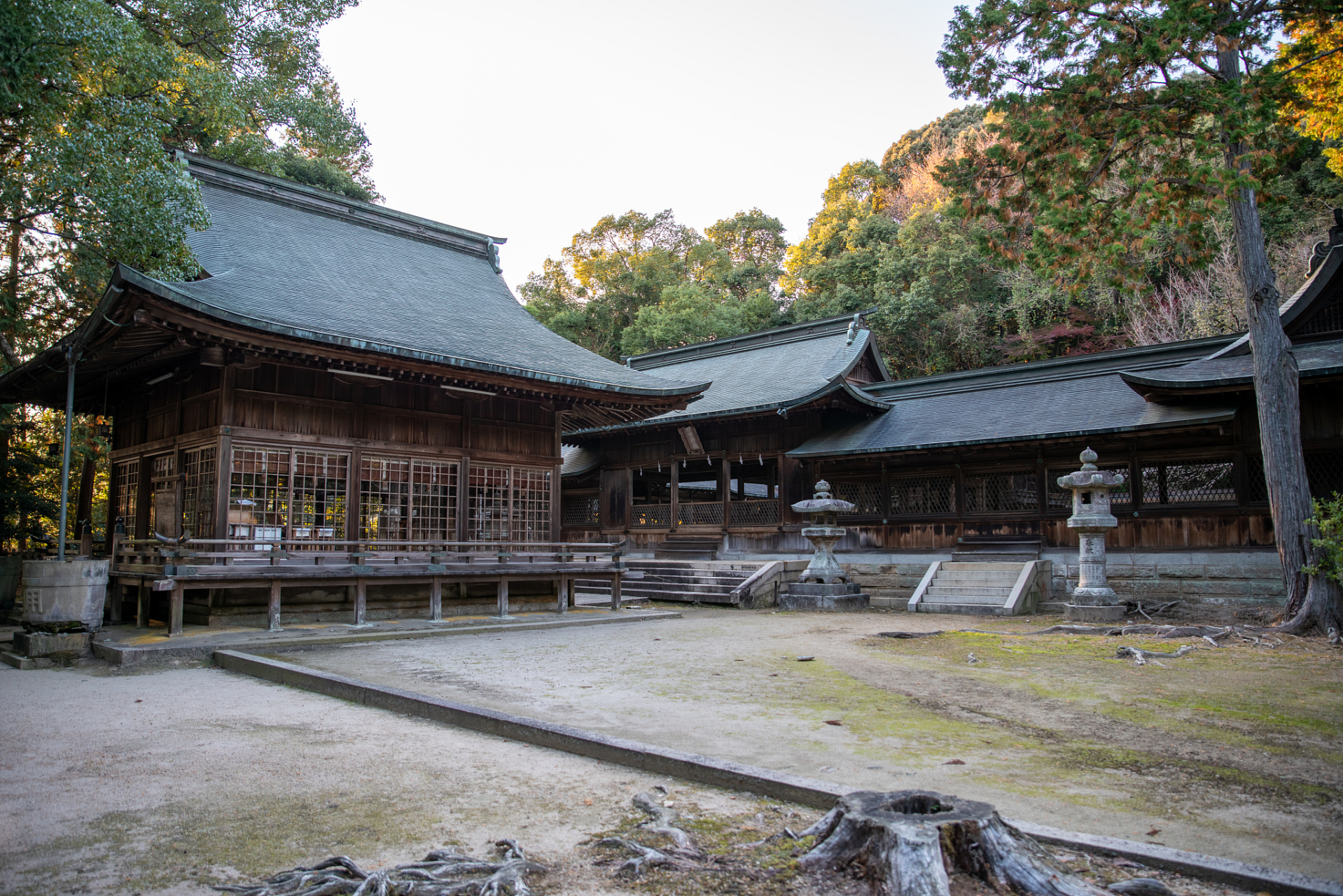 秋天的天龙寺坐落在福建省龙岩市,它不仅是一座古老的佛教寺庙,更是