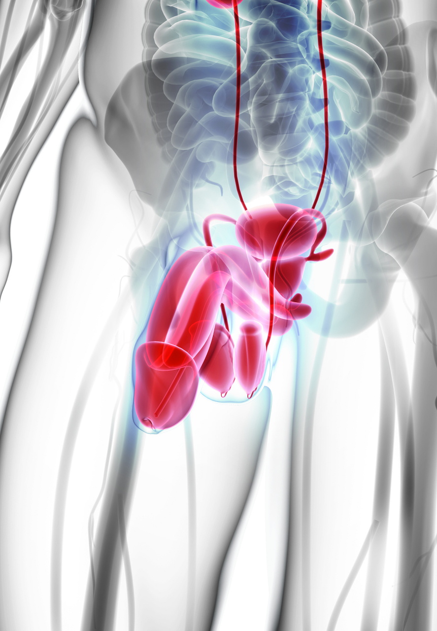 别急,作为皮肤科的资深医生,我