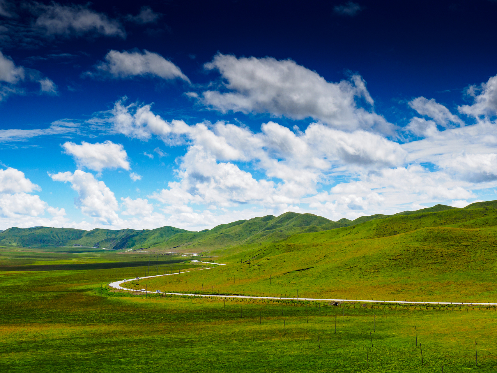 若尔盖草原位于四川,被誉为"川西北高原的绿洲".