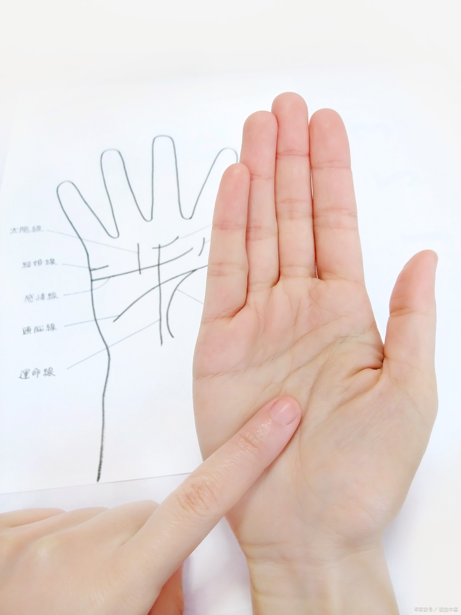 每天一个故事,手相——贵人纹