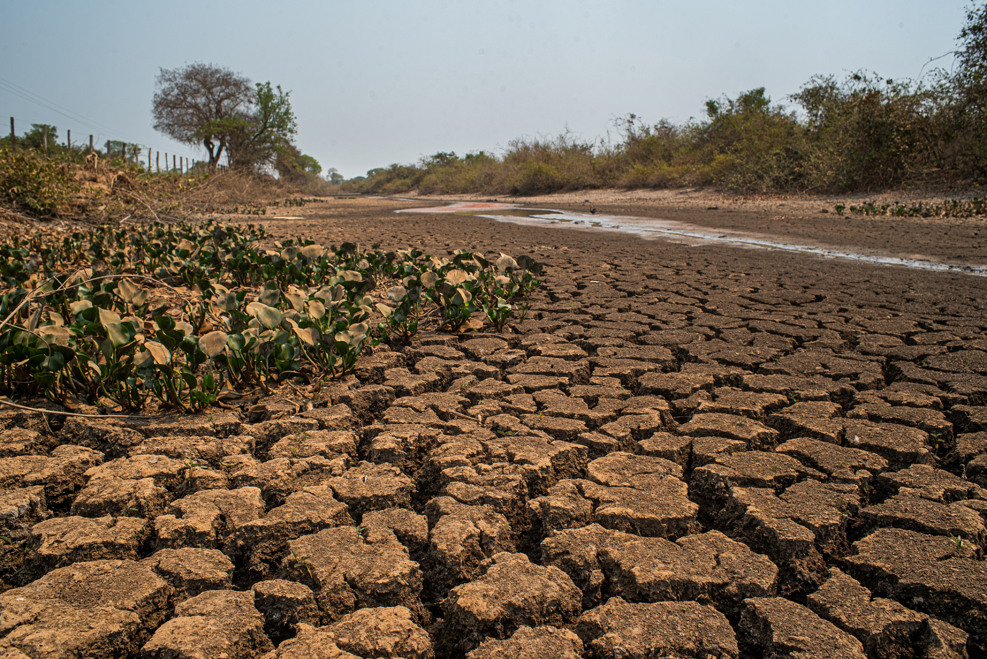 百万创作者计划#  今年以来的持续高温干旱天气,已造成玻利维亚7个