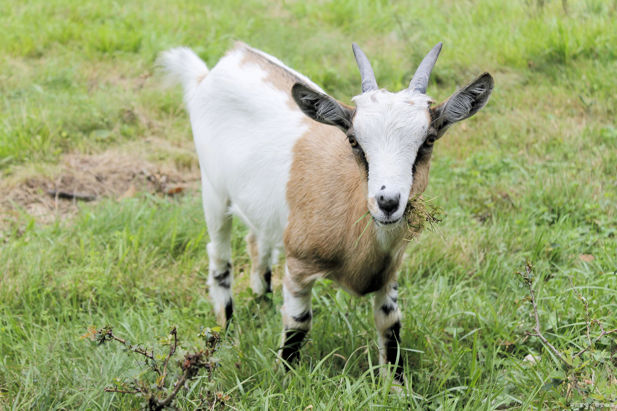 咱们来聊聊一个超级接地气,又让人有点小纠结的话题