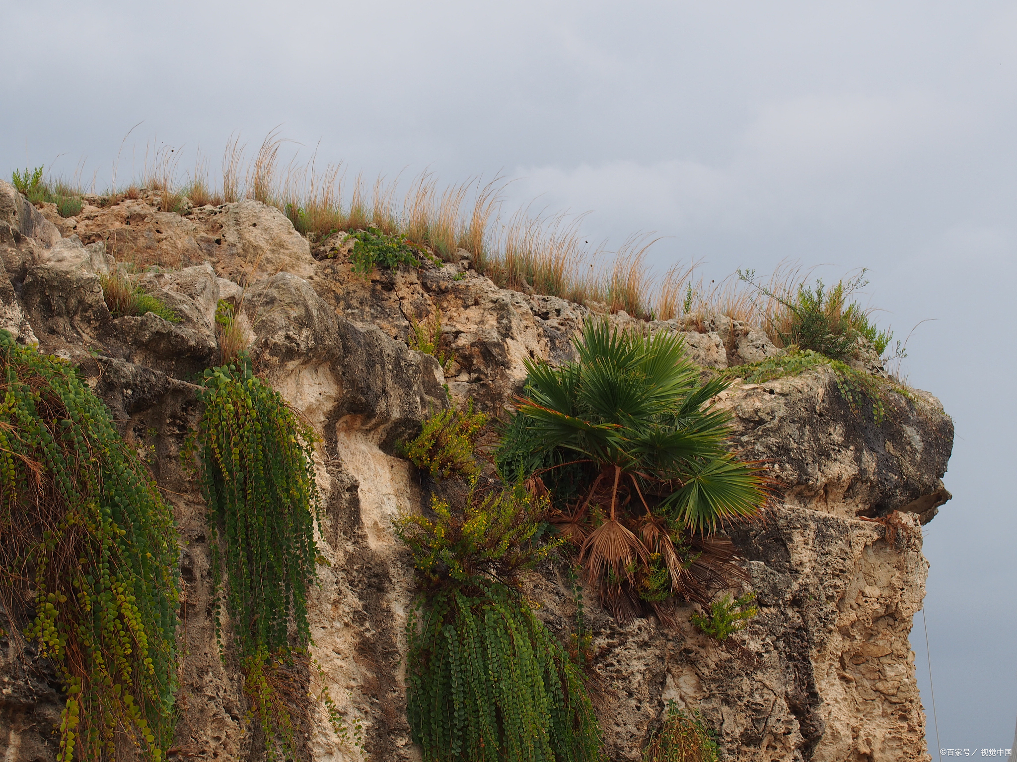 青岛胶州艾山,地质公园探索,后悔没早去!