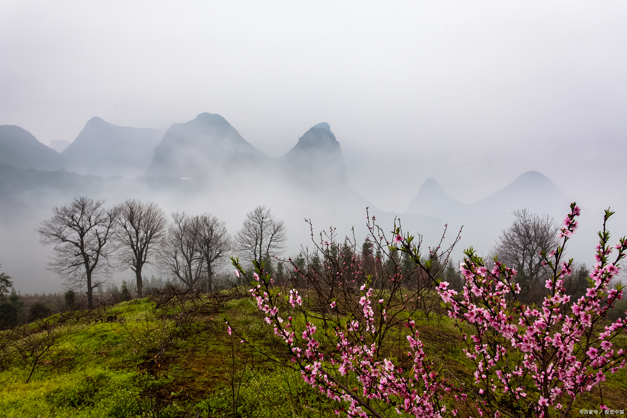 春天就要上春山