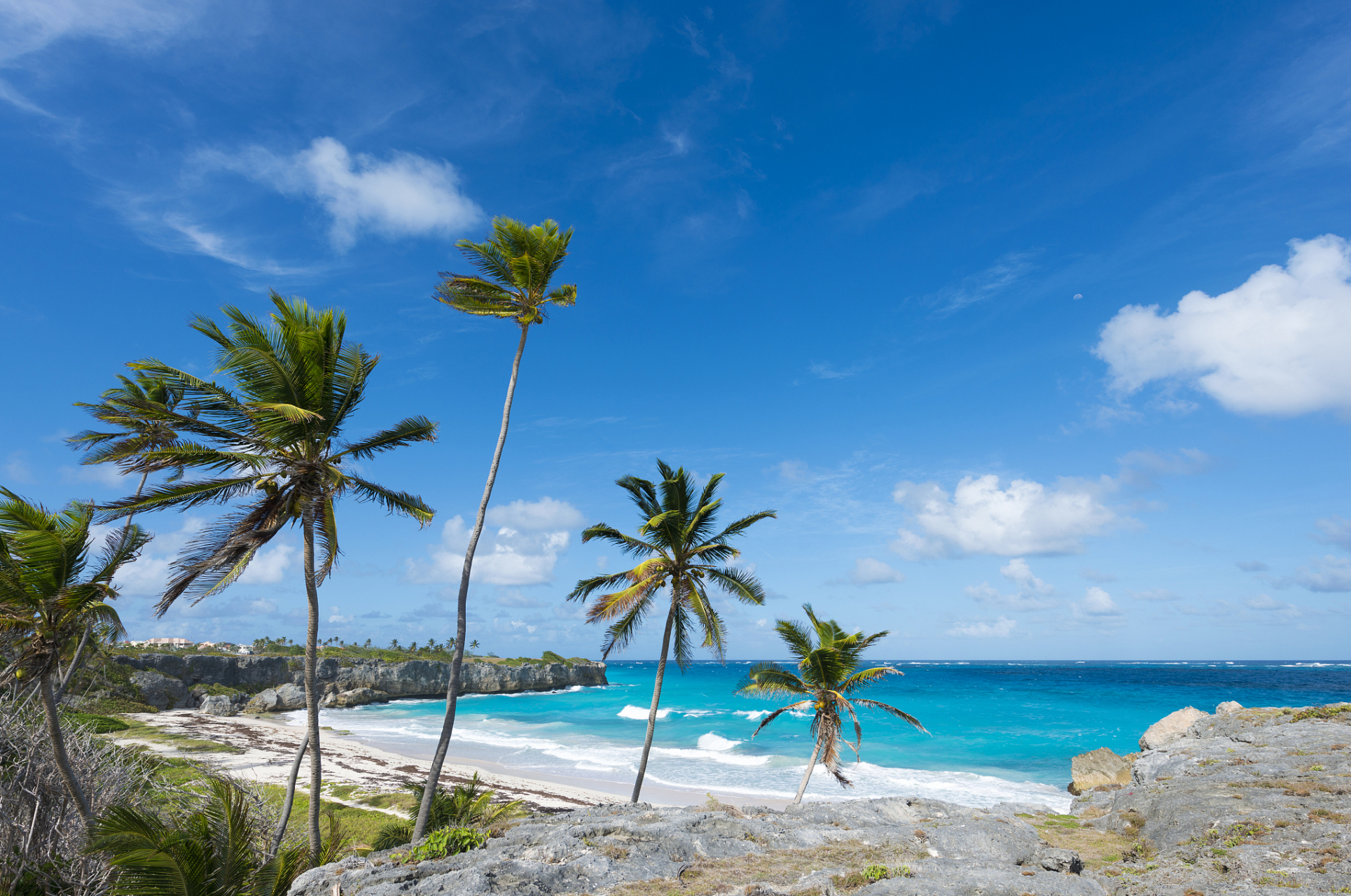 动态30天打卡挑战# 夏威夷的热带风光,美丽的海滩,丰富的水上活动