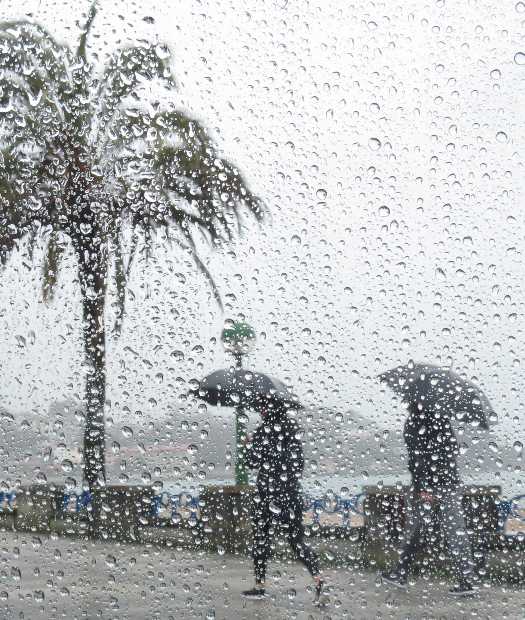 但你是否注意到,有的地区下雨缠绵如诗,有的却急促猛烈如鼓点?