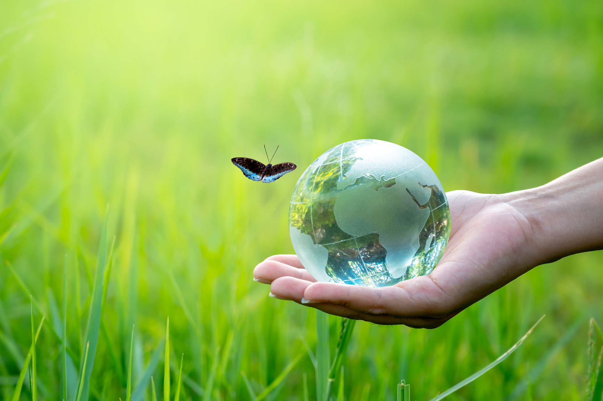 保卫自然家园,让生命之花绽放!