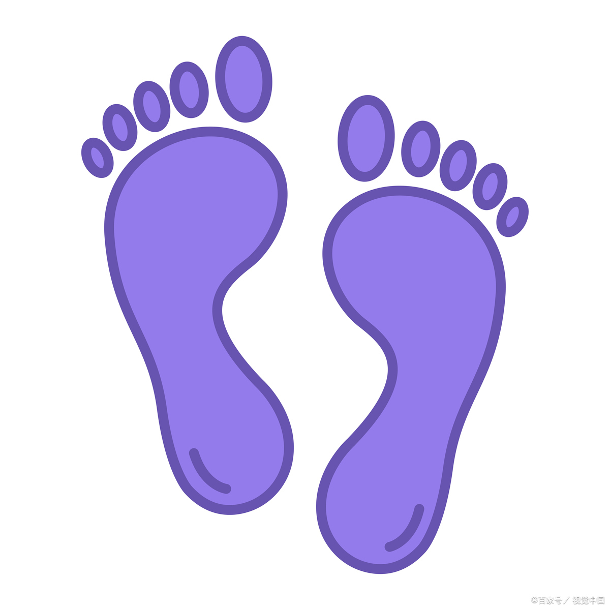 脚的指头怎么称呼