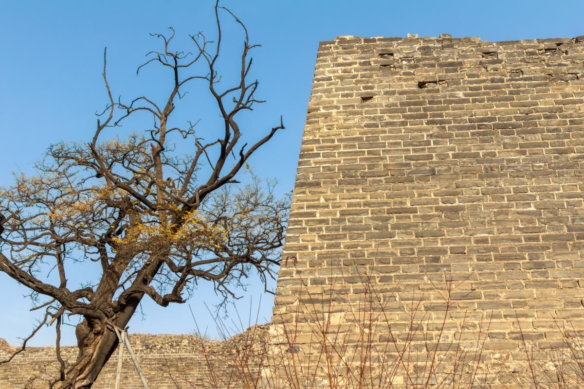 在嘉定镇南大街的南端,有一段古城墙——南城墙,它始建于南宋嘉定十二