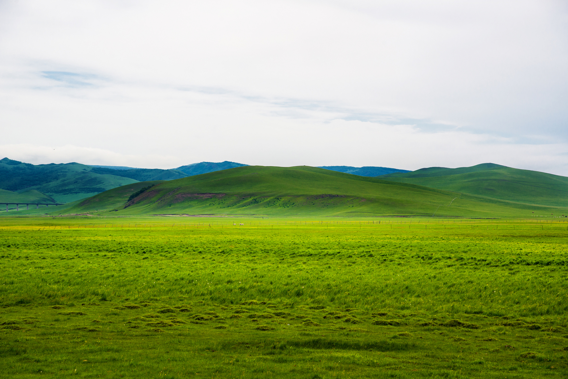 坝上草原包括丰宁坝上草原,张北坝上草原和围场坝上草原,每个草原都有