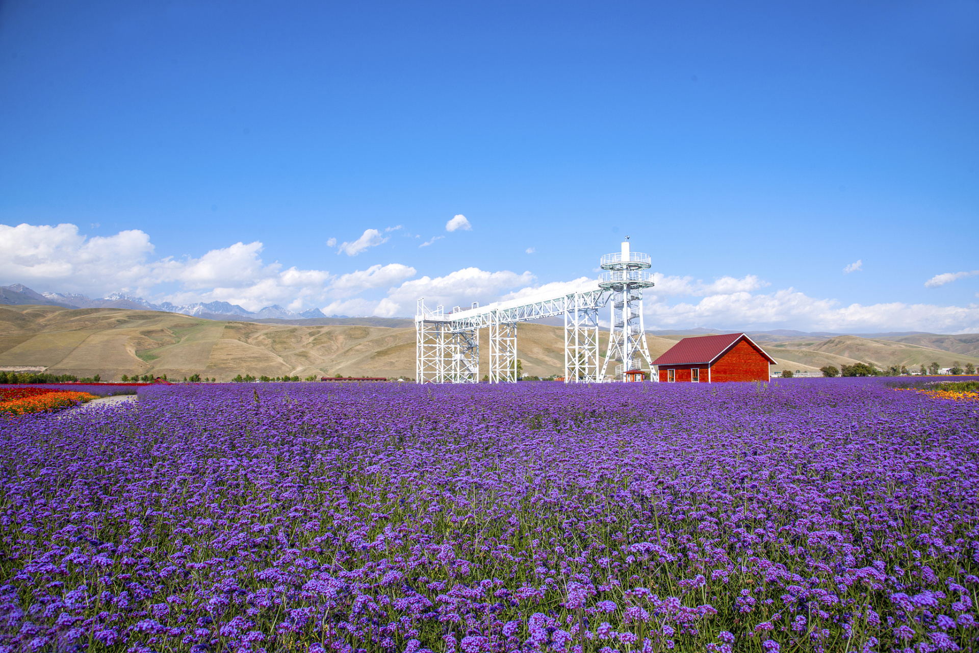 奇遇那拉提#新疆花海那拉提不仅拥有美丽的风景,还有着多个打卡胜 ..