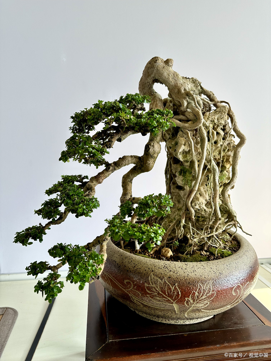 这个国庆节老妈过得可开心了,因为国庆假期这几天老