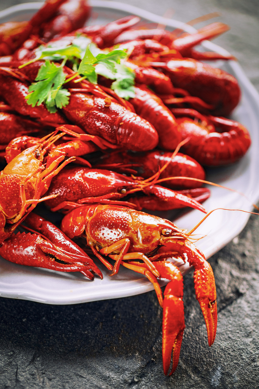 小龙虾养殖业的兴起,无疑为农民增收开辟了新的道路.