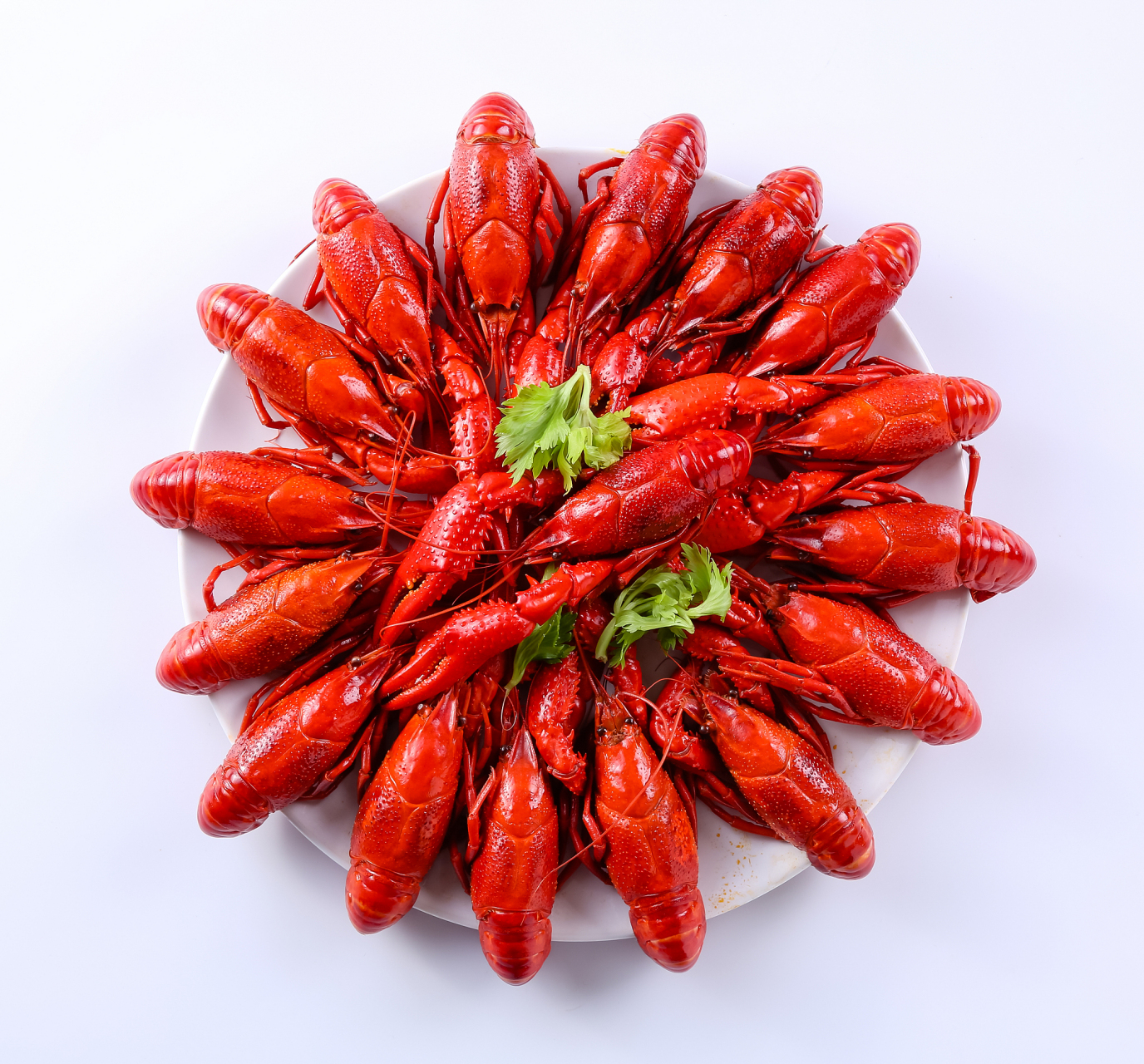 [原文:蒜蓉虾尾怎样做最好吃]