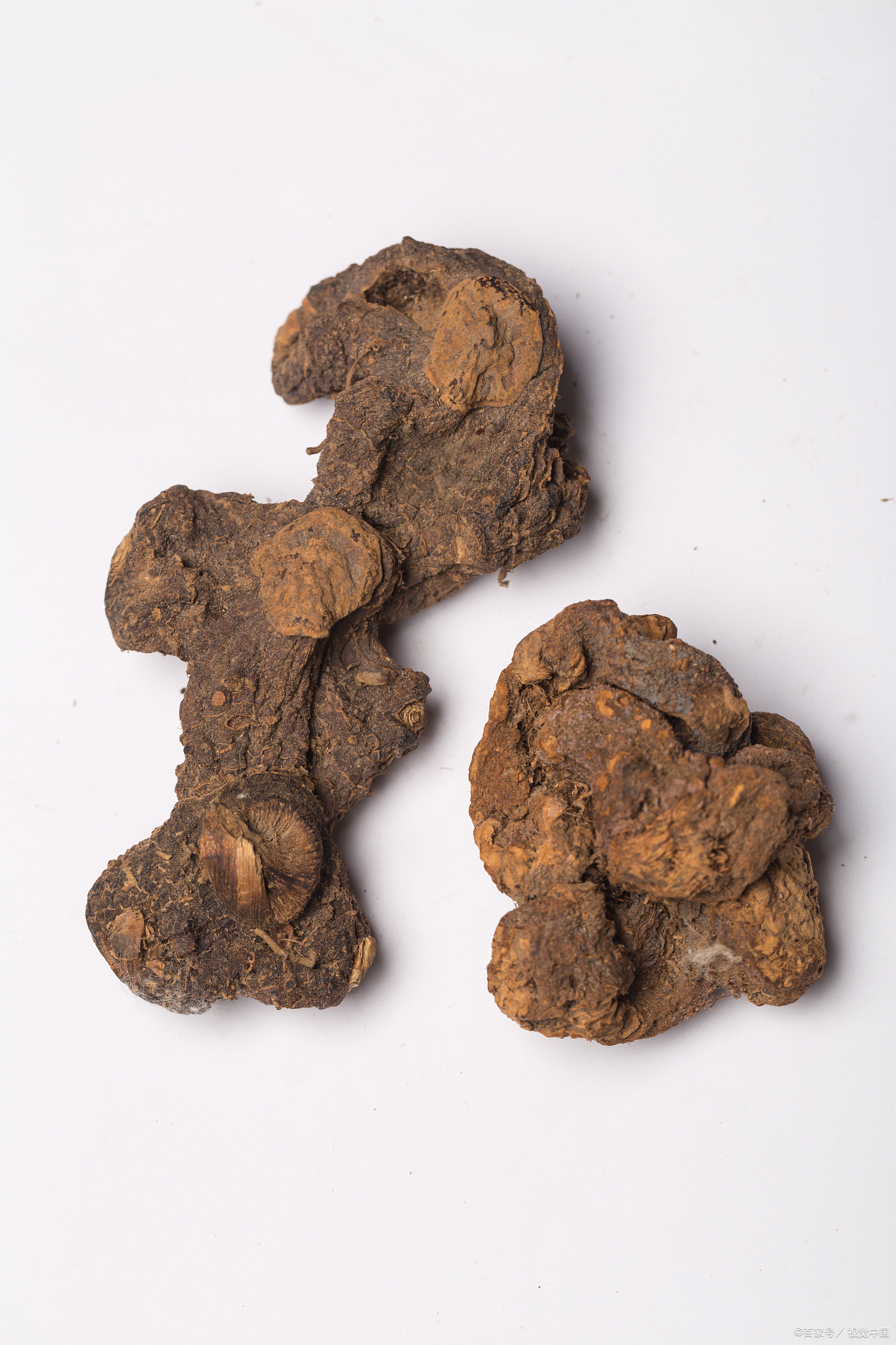 十大抗衰老中药:补肾益精——黄精