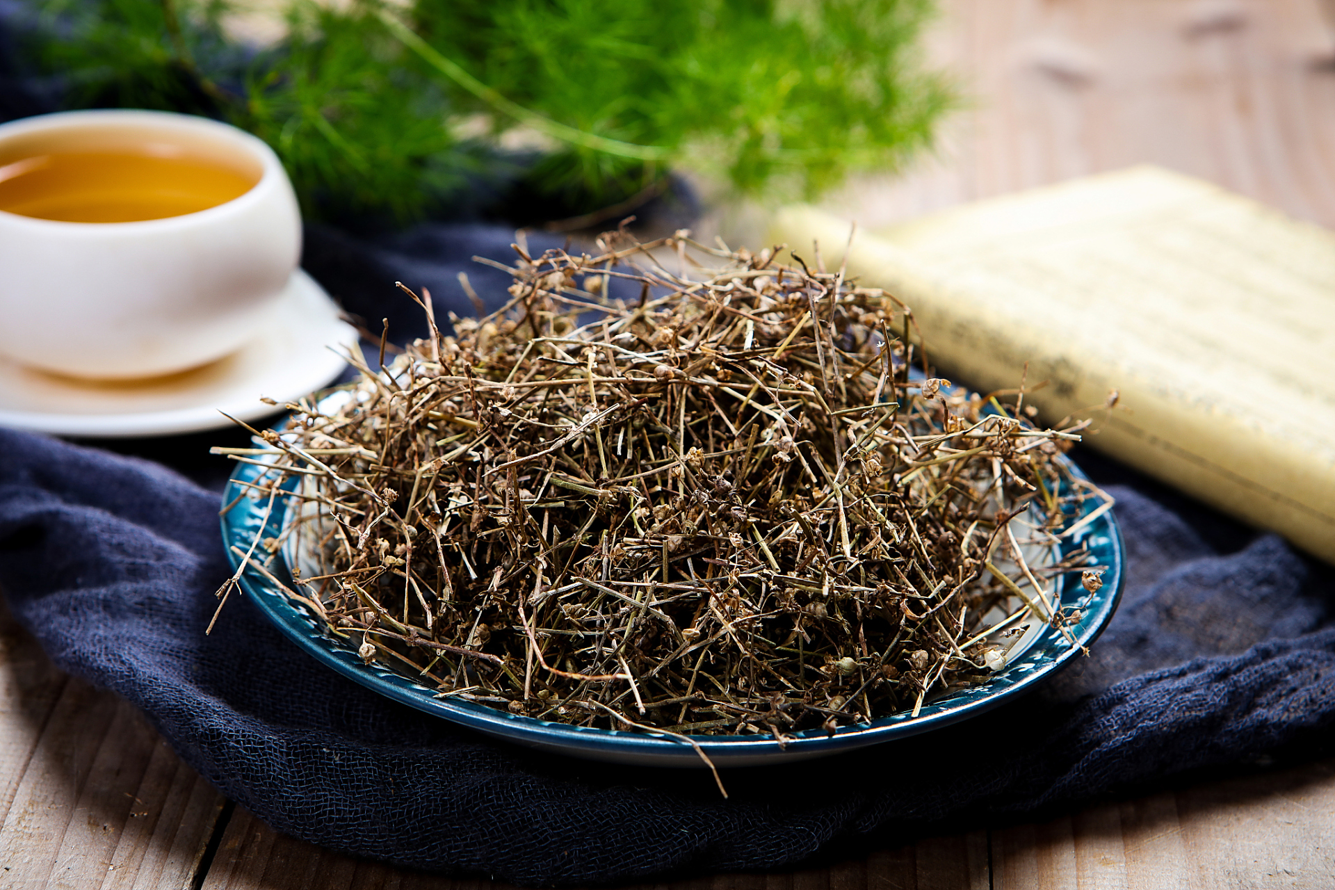 中药白花蛇舌草与地骨皮配伍,治疗再发性尿路感染(劳淋)【仅供参考】