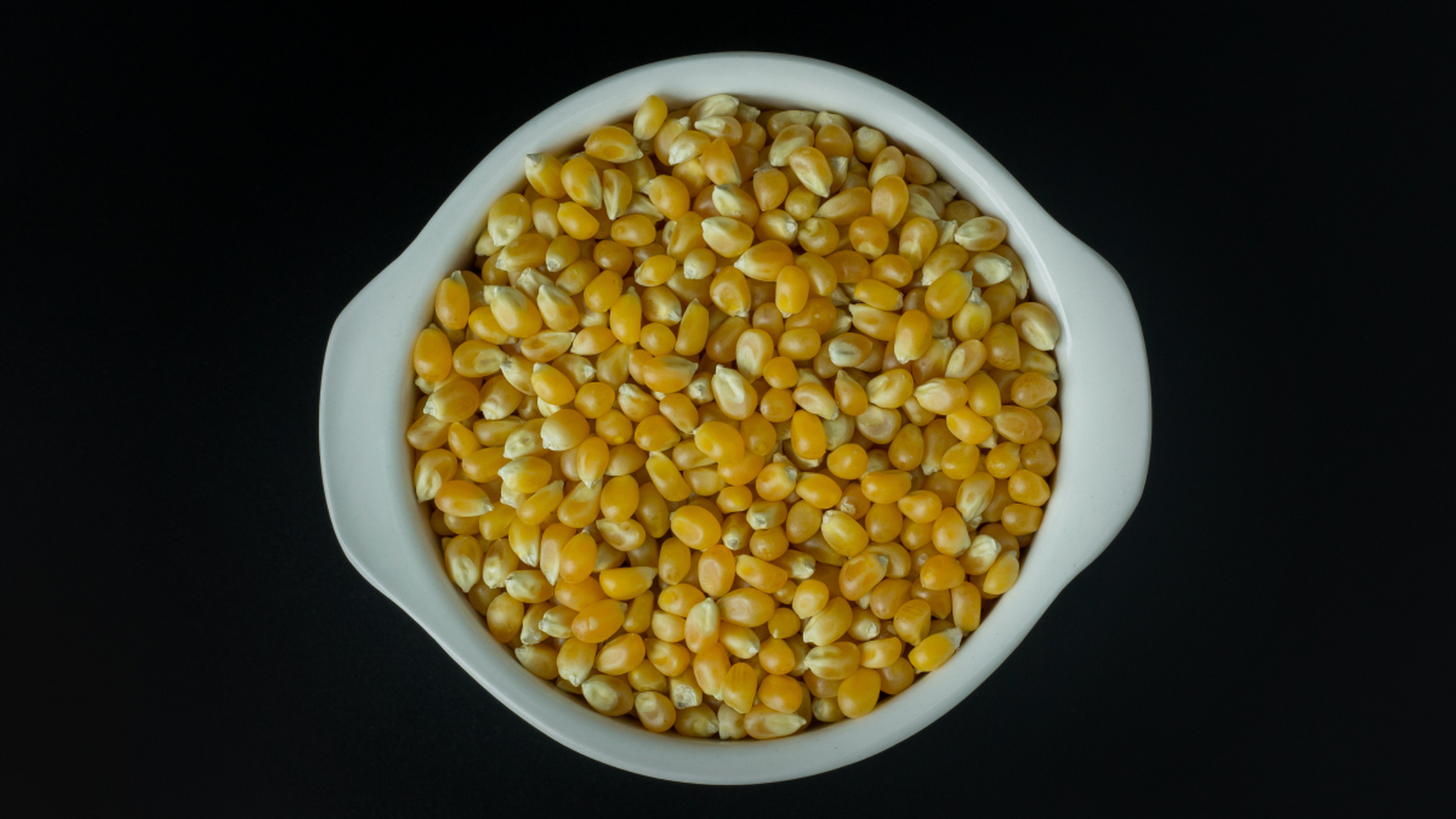 金博士铁3107玉米种子图片