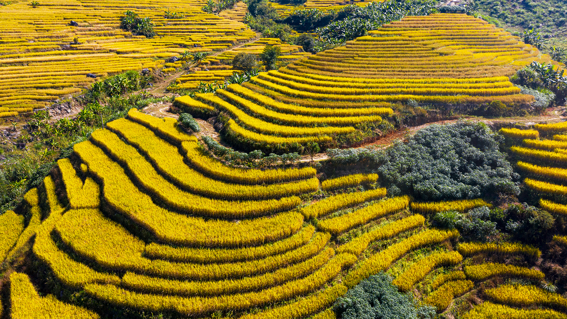 重庆市秋天的自然风光和农田景观都非常迷人,以下是一些建议的旅游