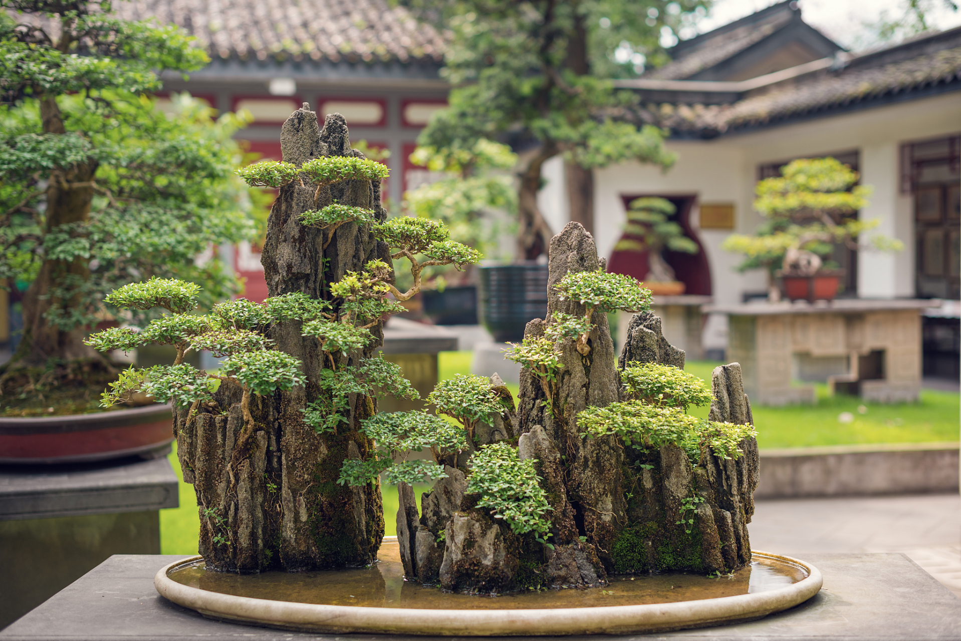 家庭假山盆景制作需要设计好构思,选择合适的材料和造型,定植位置要