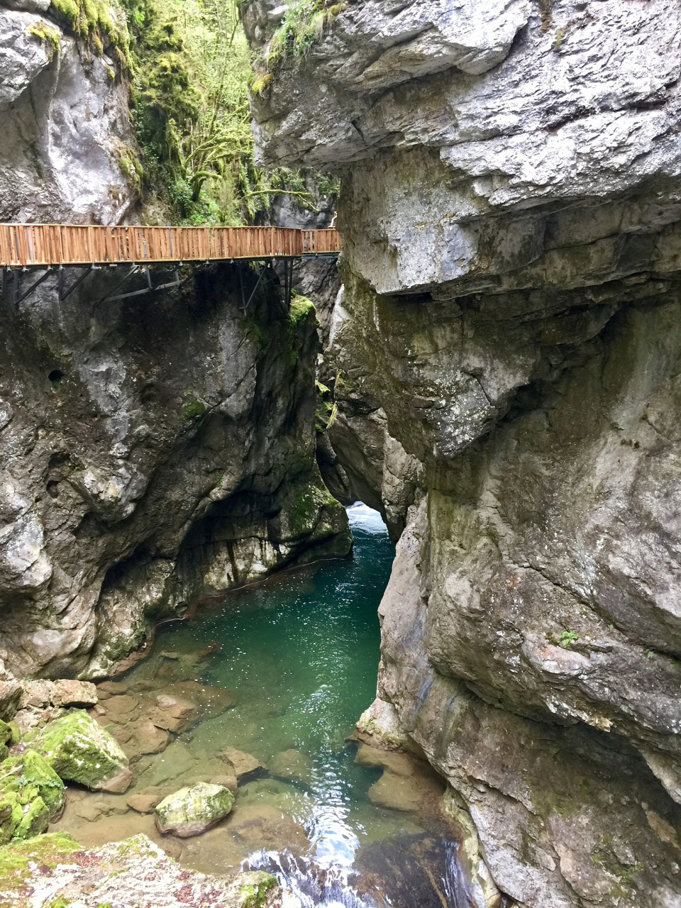 阳新旅游景点图片