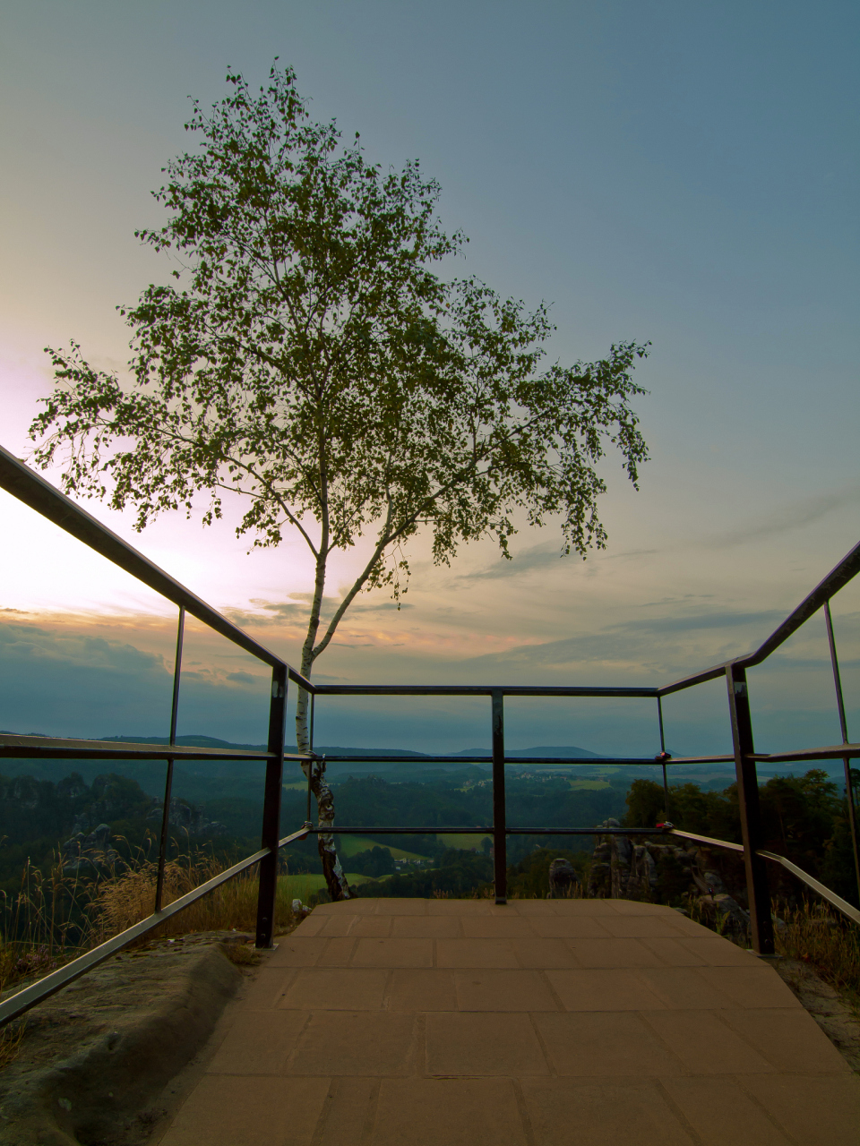 重庆的南山一棵树观景台,位于重庆南岸区南山上,是重庆都市区的最高