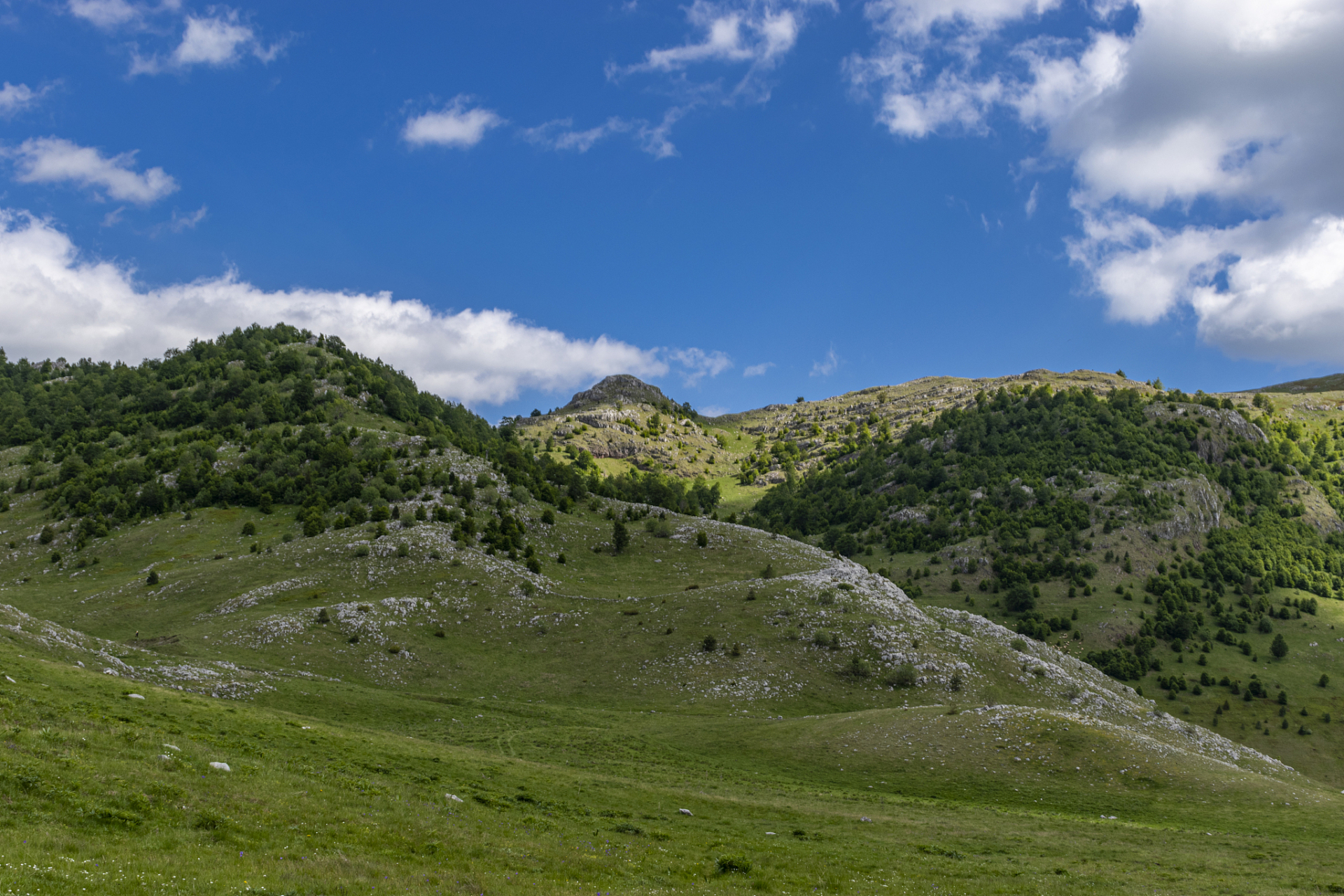 内蒙古中部阴山山脉中段大青山 9.内蒙古阴山 8.大兴安岭 7.