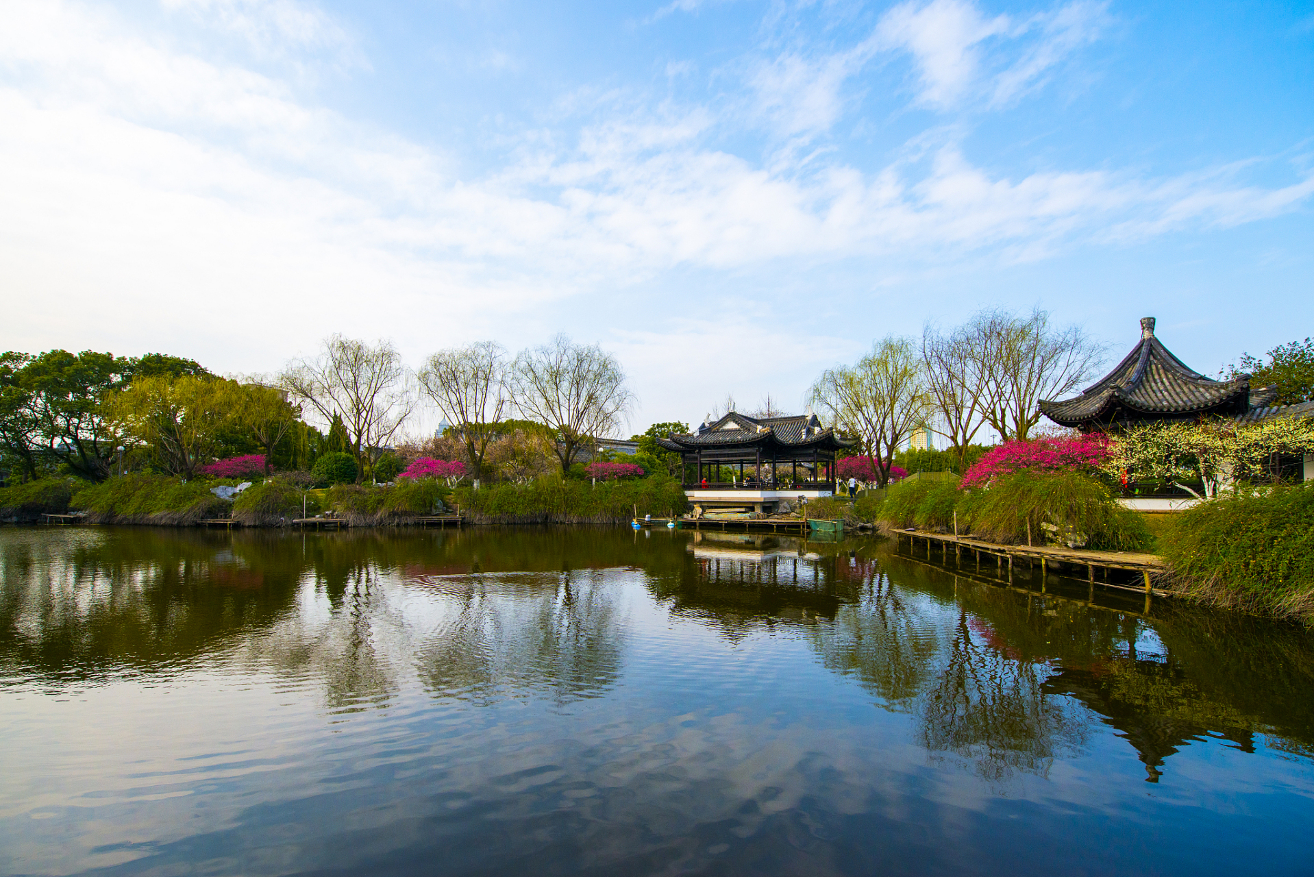 西溪湿地 风景图片图片