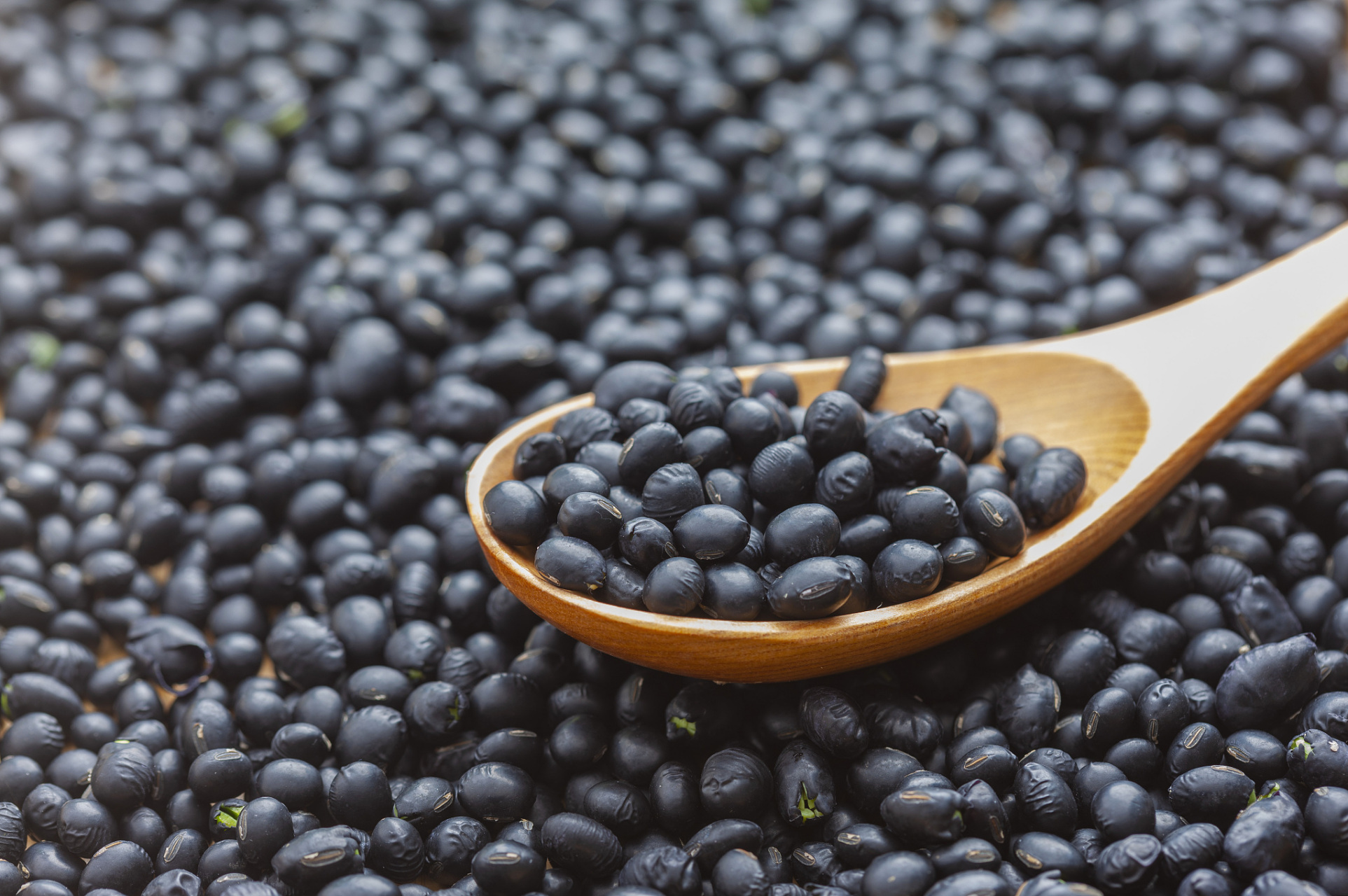 黑豆的营养价值及功效与作用,黑豆怎么吃补肾效果最好 俗话说"红豆补