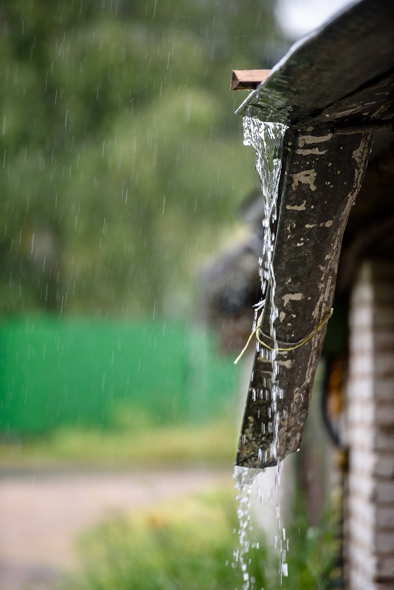 说来也是很怪,自然界里再平常不过的雨声,却有着神奇的某种