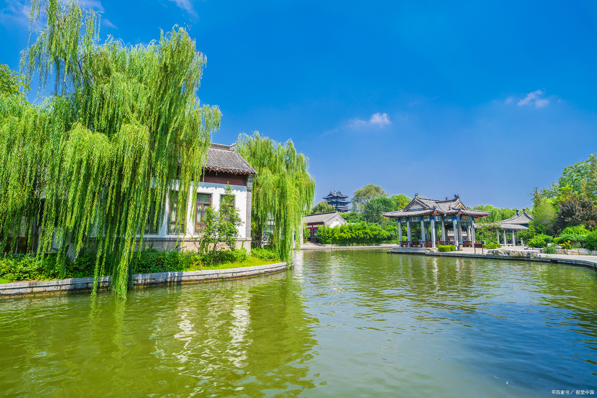 《茶馆》,一本书写尽成都茶馆文化的社会史和城市史