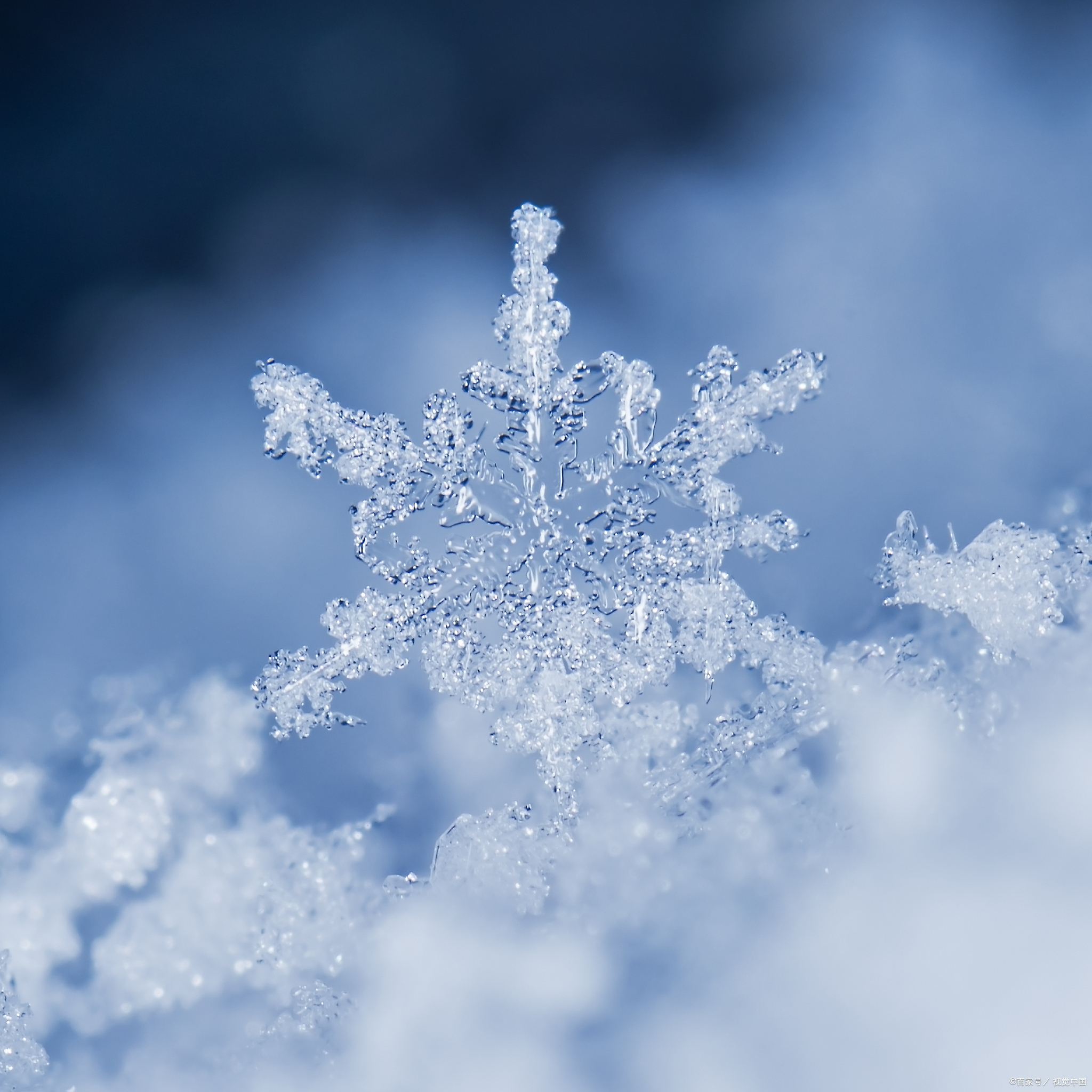 满天雪花飞舞图片