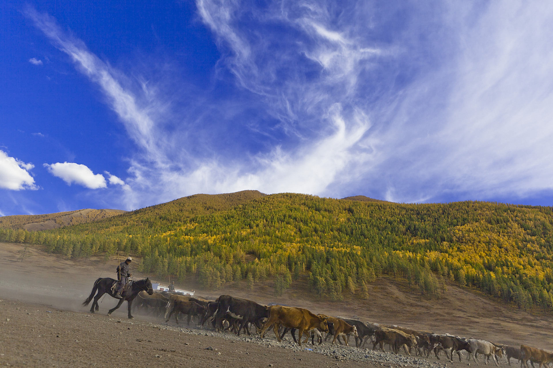 奇遇那拉提#新疆那拉提木垒鸣沙山景区位于新疆伊犁哈萨克自治州适 