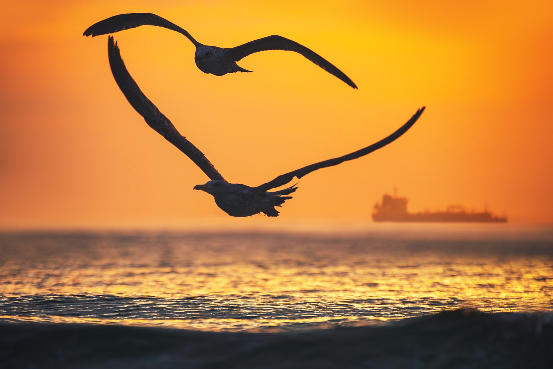 亦治今文学,博洽翔实. 通"祥".