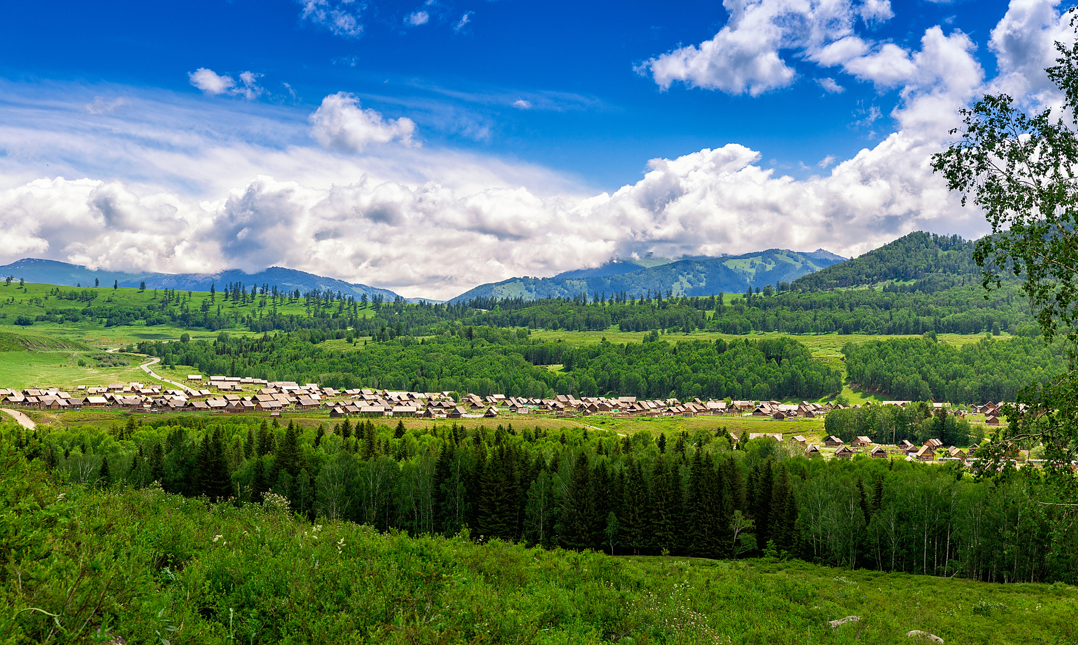奇遇那拉提#新疆那拉提野果林风景区是一处自然景致独特的旅游胜地