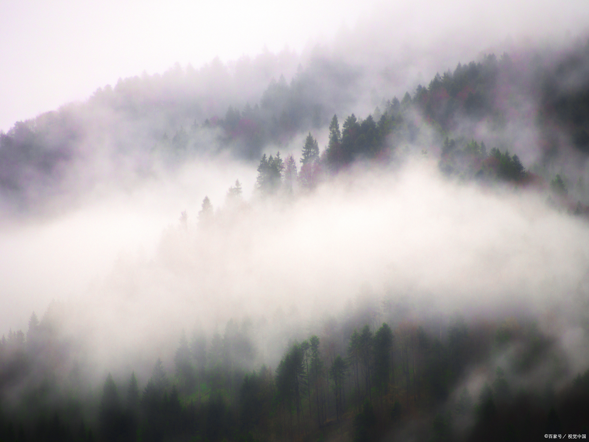 早上雾很美的句子,美得世界,美得生活,美得人生!